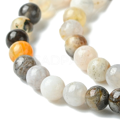 Natural Bamboo Leaf Agate Round Beads Strands G-M248-4mm-04-1