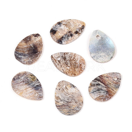 Natural Akoya Shell Pendants SHEL-T020-22-1