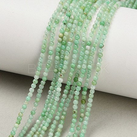 Natural Chrysoprase Beads Strands G-A322-A01-2mm-1