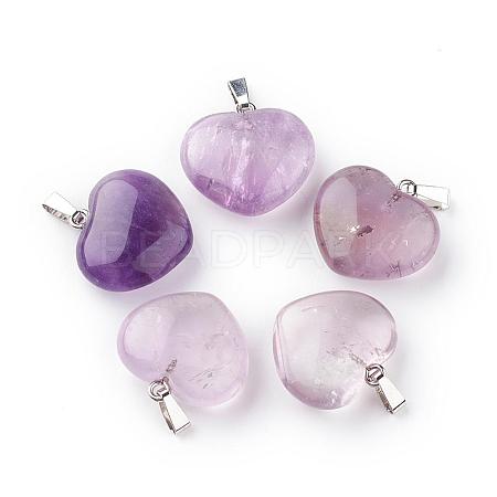 Natural Amethyst Pendants G-S219-17G-1