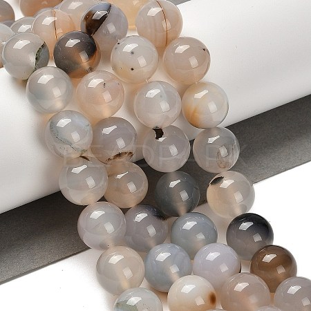 Natural Agate Beads Strands G-G175-A01-01-1