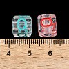 Acrylic European Beads MACR-I042-01Q-3