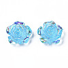 Transparent Resin Cabochons CRES-N030-001B-02-2