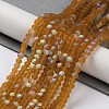 Transparent Glass Beads Strands LS-EGLA-A044-T4mm-MB02-2