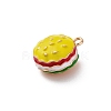 Alloy Enamel Charm LS-ENAM-E362-05E-2