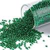 TOHO Round Seed Beads SEED-JPTR15-0036-1