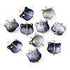 10Pcs Glass Pendants PALLOY-YW00061-02-1