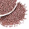 12/0 Glass Seed Beads X-SEED-A017-2mm-1108-3