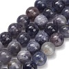 Natural Iolite Beads Strands G-G300-A04-8mm-2