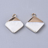Electroplate Freshwater Shell Pendants X1-SHEL-S276-64-2
