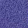 MIYUKI Round Rocailles Beads X-SEED-G008-RR0649-4