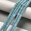 Natural Turquoise Beads Strands G-M422-B01-01-4