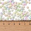 6/0 Glass Seed Beads X1-SEED-M012-01A-01-4