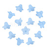 Transparent Acrylic Beads X-PLF018-06-2