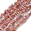 Natural Freshwater Shell Beads Strands BSHE-H018-07-2
