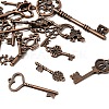 Tibetan Style Alloy Pendants FIND-D040-01R-2
