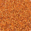 MIYUKI Delica Beads SEED-J020-DB0045-3