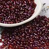 Spray Painted Glass Seed Beads SEED-F005-06A-01-1