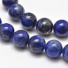 Natural Lapis Lazuli Round Bead Strands X-G-E262-01-12mm-2