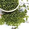 6/0 Glass Seed Beads SEED-A005-4mm-24-1