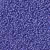MIYUKI Round Rocailles Beads SEED-X0055-RR0649-3