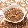 Glass Bugle Beads X1-SEED-B001-03A-04-2