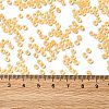 12/0 Transparent Glass Seed Beads SEED-F003-03C-01-4