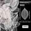 100Pcs Dried Flower Leaf Craft Supplies AJEW-CP0009-41B-2