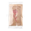 3 Sets Kraft Paper Greeting Cards AJEW-FS0001-27C-6
