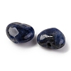 Natural Sodalite Beads G-K369-03F-2