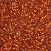 8/0 Glass Seed Beads X2-SEED-A005-3mm-29-2