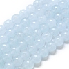 Natural Malaysia Jade Beads Strands G-L645-C01-10mm-01-1