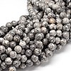 Natural Map Stone Beads Strands G-P075-15-10mm-1