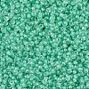 MIYUKI Round Rocailles Beads SEED-JP0008-RR0219-3