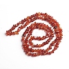 Natural Carnelian Chips Beads Strands G-D0002-A07-2