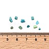 Dyed & Heated Natural Magnesite Chip Beads G-L453-01-4