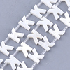 Freshwater Shell Beads X-SHEL-T012-59K-1