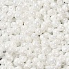 6/0 Glass Seed Beads SEED-M012-01A-16-3