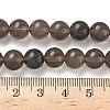 Natural Ice Obsidian Beads Strands G-P590-A03-8mm-01-3