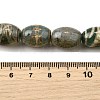 Tibetan Style dZi Beads Strands G-S389-A01-5