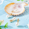 4Pcs Natural Cultured Freshwater Pearl Pendants PALLOY-TAC0178-5