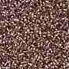 Cylinder Seed Beads X-SEED-H001-G19-4
