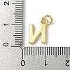 Rack Plating Brass Charms KK-P245-06G-N-3