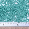 MIYUKI Round Rocailles Beads SEED-G007-RR0412-4