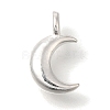 925 Sterling Silver Charms STER-G043-05B-S-1