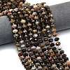 Natural Petrified Wood Beads Strands G-P573-A32-01-1
