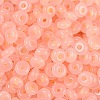 Transparent Colours Glass Seed Beads SEED-P008-01B-11-2
