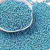8/0 Baking Paint Glass Seed Beads SEED-M012-02A-46-1