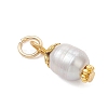 Natural Cultured Freshwater Pearl Pendants PALLOY-JF05029-4