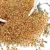 TOHO 11/0 Round Beads SEED-XTR11-0701-1
